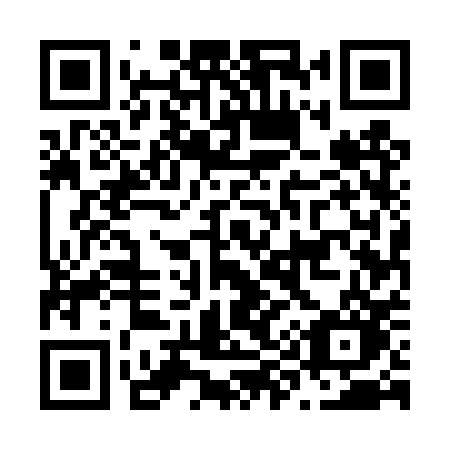 QR code for N95 4PO