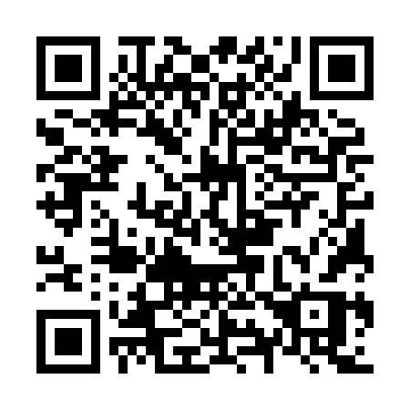 QR code for N95 8FR