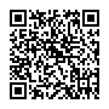 QR code for N951A