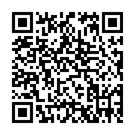 QR code for N951M