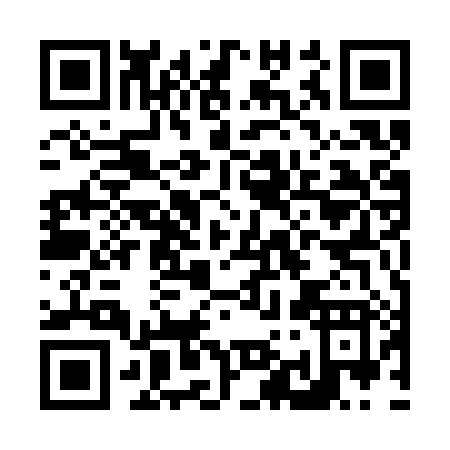 QR code for N953X