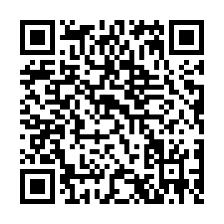 QR code for N955W