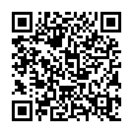 QR code for plate N95 9BH