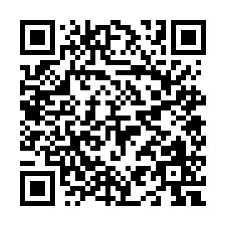 QR code for N976A