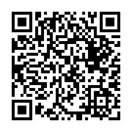 QR code for N976I