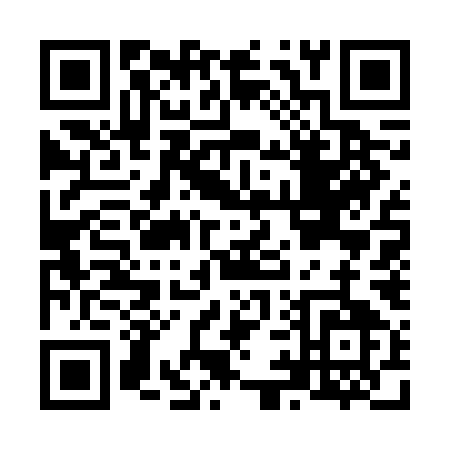 QR code for N976M