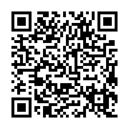 QR code for N976Z