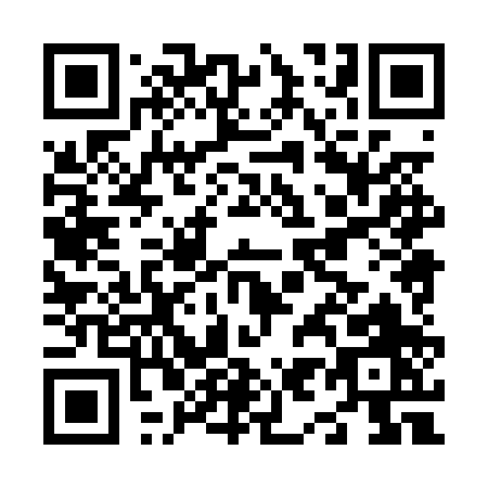 QR code for N980P