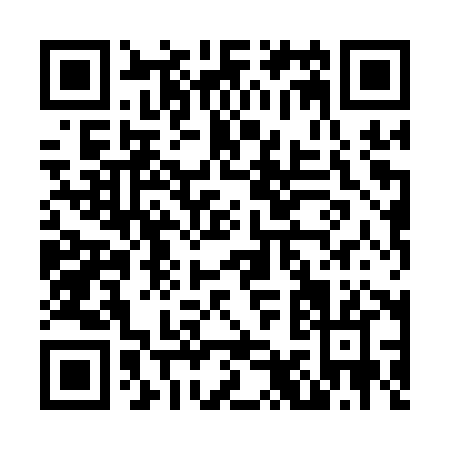 QR code for N981X