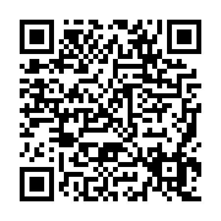 QR code for N990V