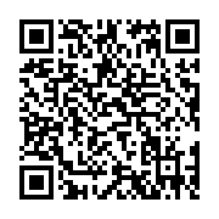 QR code for N991V