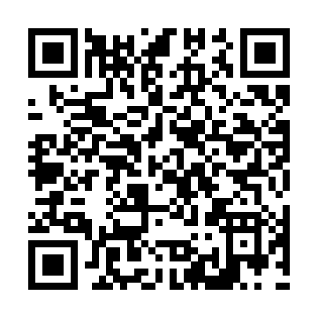 QR code for N993H