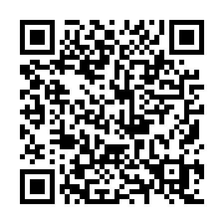 QR code for N995SI