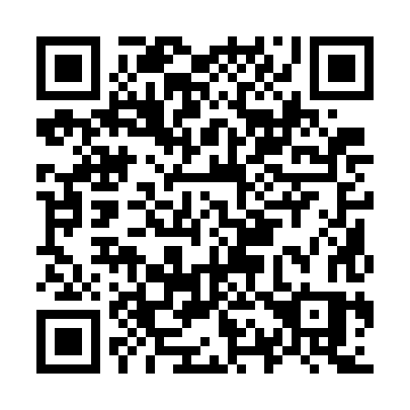 QR code for O117HS