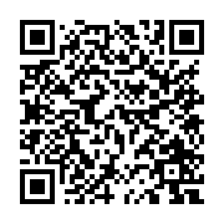QR code for O238P