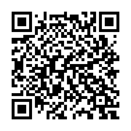 QR code for O293PG