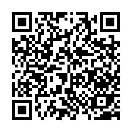 QR code for O313K