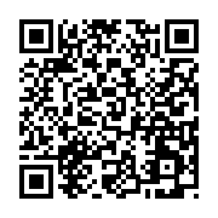 QR code for O313L