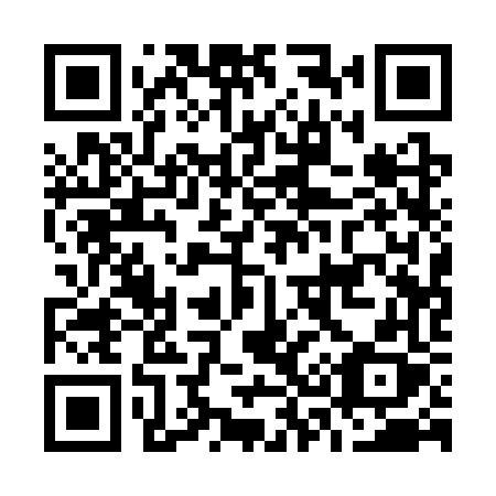 QR code for O313VX