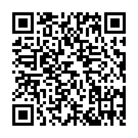 QR code for O313Y