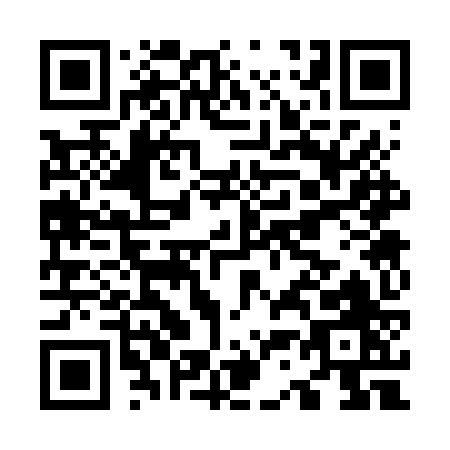 QR code for O336Z