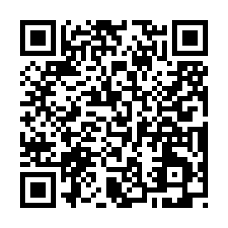QR code for O338E