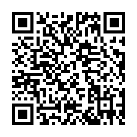 QR code for O382Z
