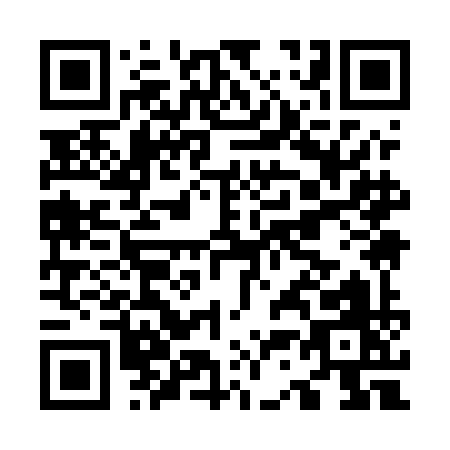 QR code for O395I