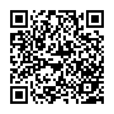 QR code for O411P