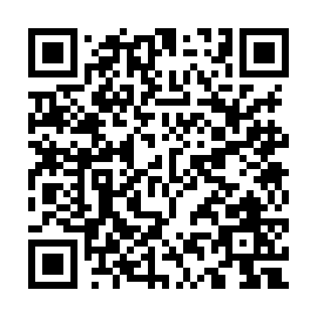 QR code for O438G