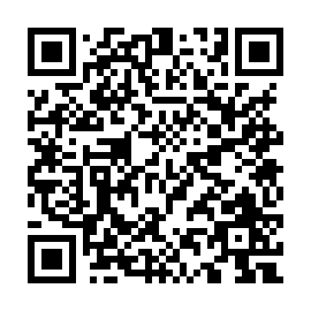QR code for O438Z