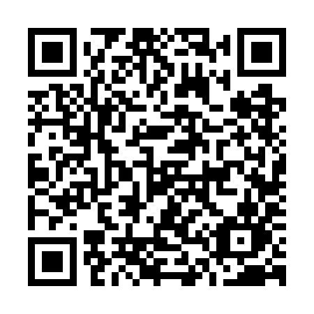 QR code for plate O46 7IN
