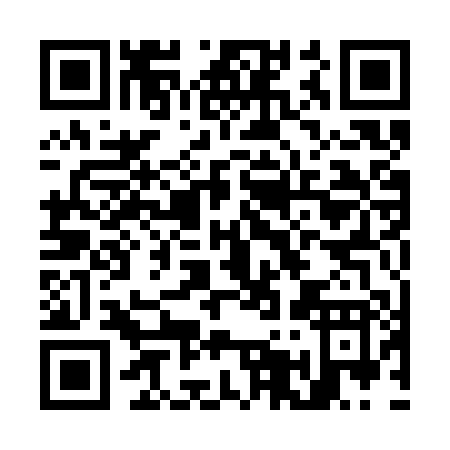 QR code for O513P