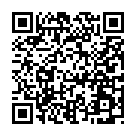 QR code for O541N