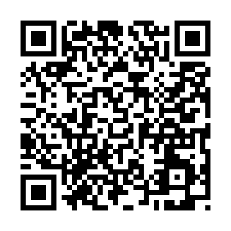 QR code for O595B