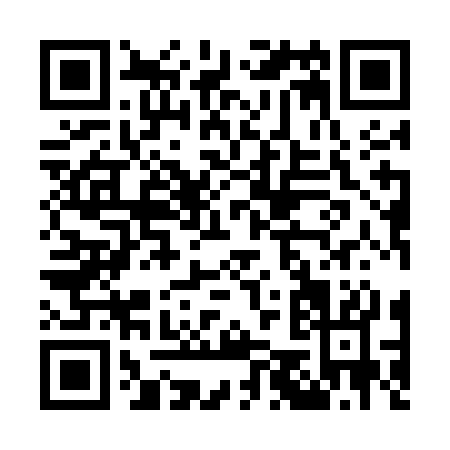 QR code for O595C