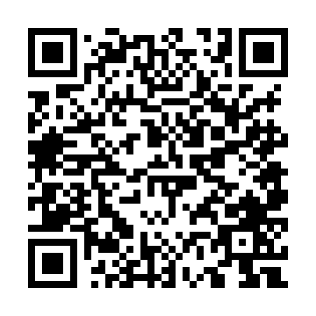 QR code for O668N