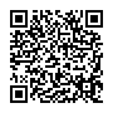 QR code for O919A