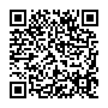QR code for O919Q