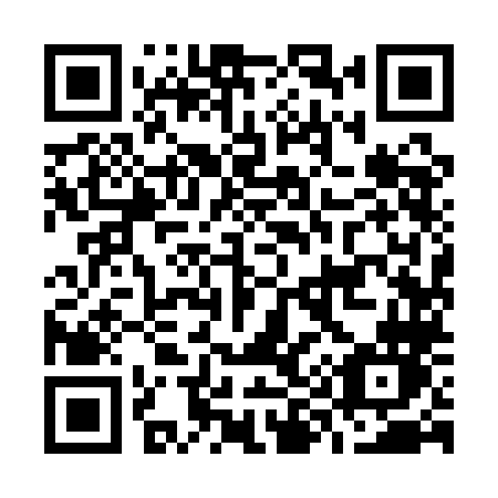 QR code for O991LN