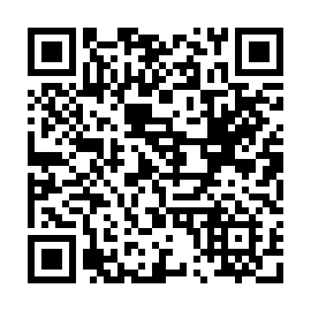QR code for P00 2LI