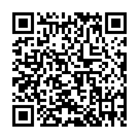 QR code for P004M
