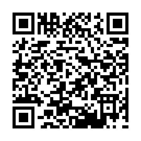 QR code for P008W