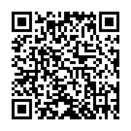 QR code for P010H