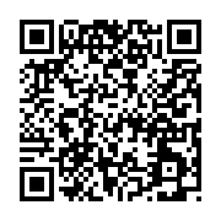 QR code for P010Q