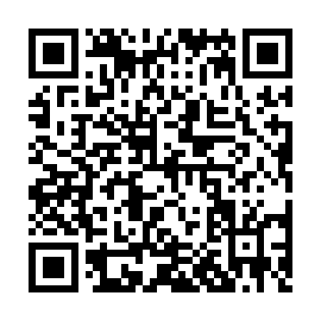 QR code for P011E