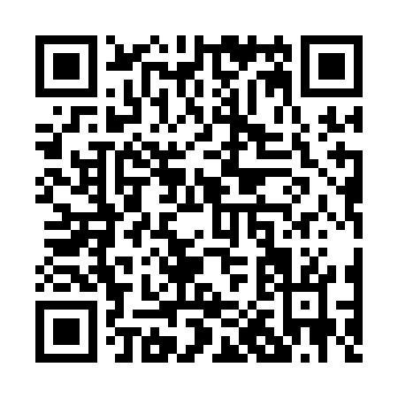 QR code for P011G