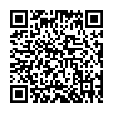 QR code for P011L