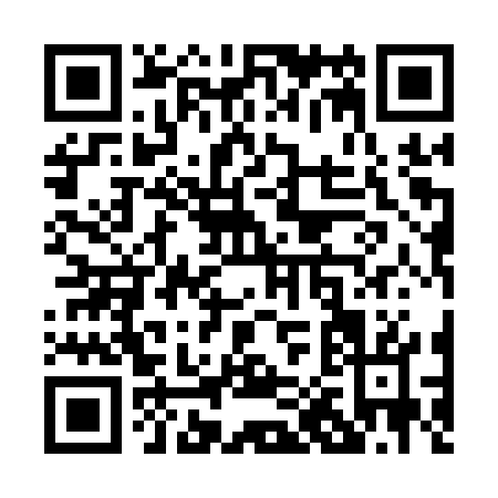 QR code for P011W