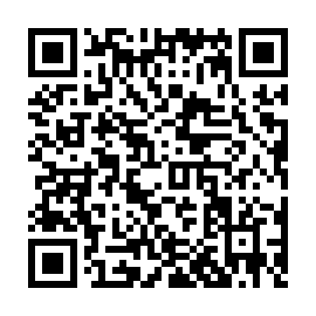 QR code for P011Z